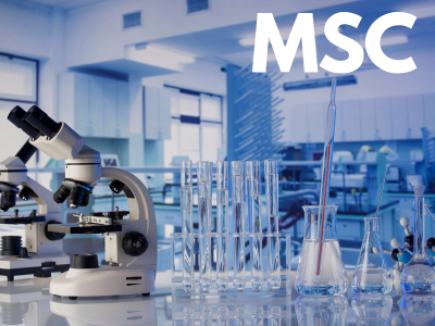 M.Sc. Student